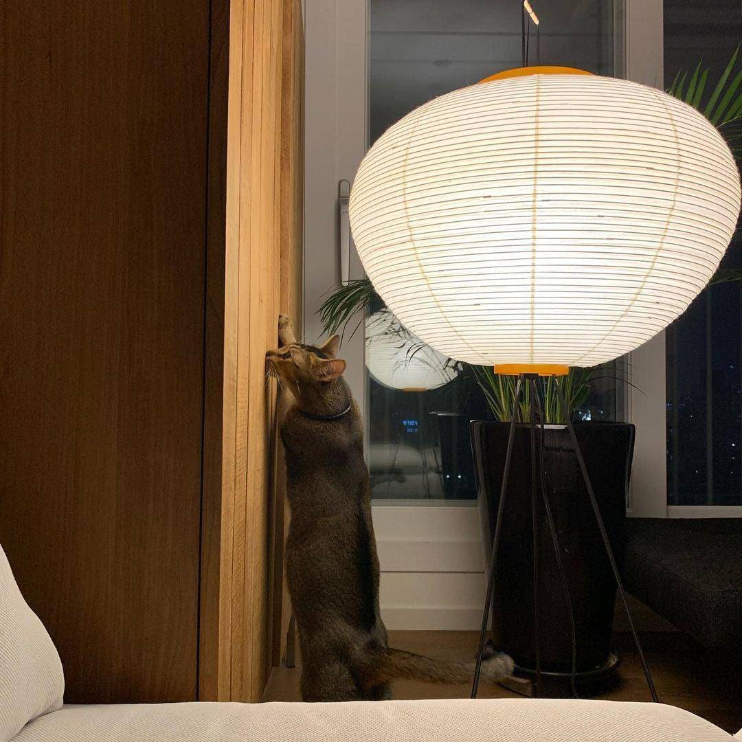 Akari Series Floor Lamp