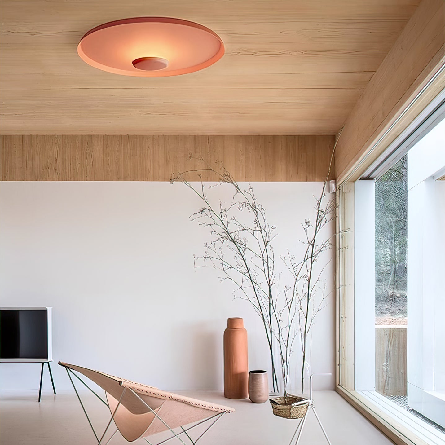 OLEV Overfly Plus-plafondlamp