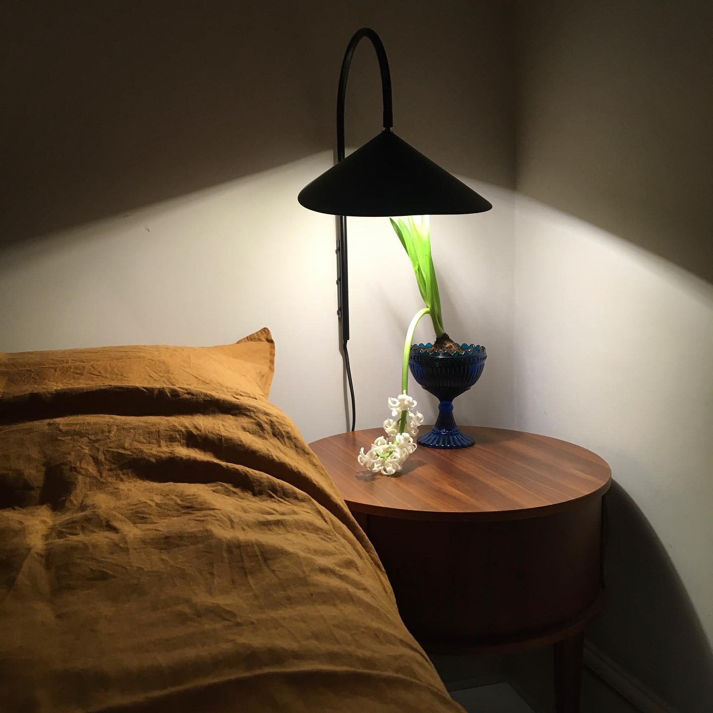 Aronskelk wandlamp