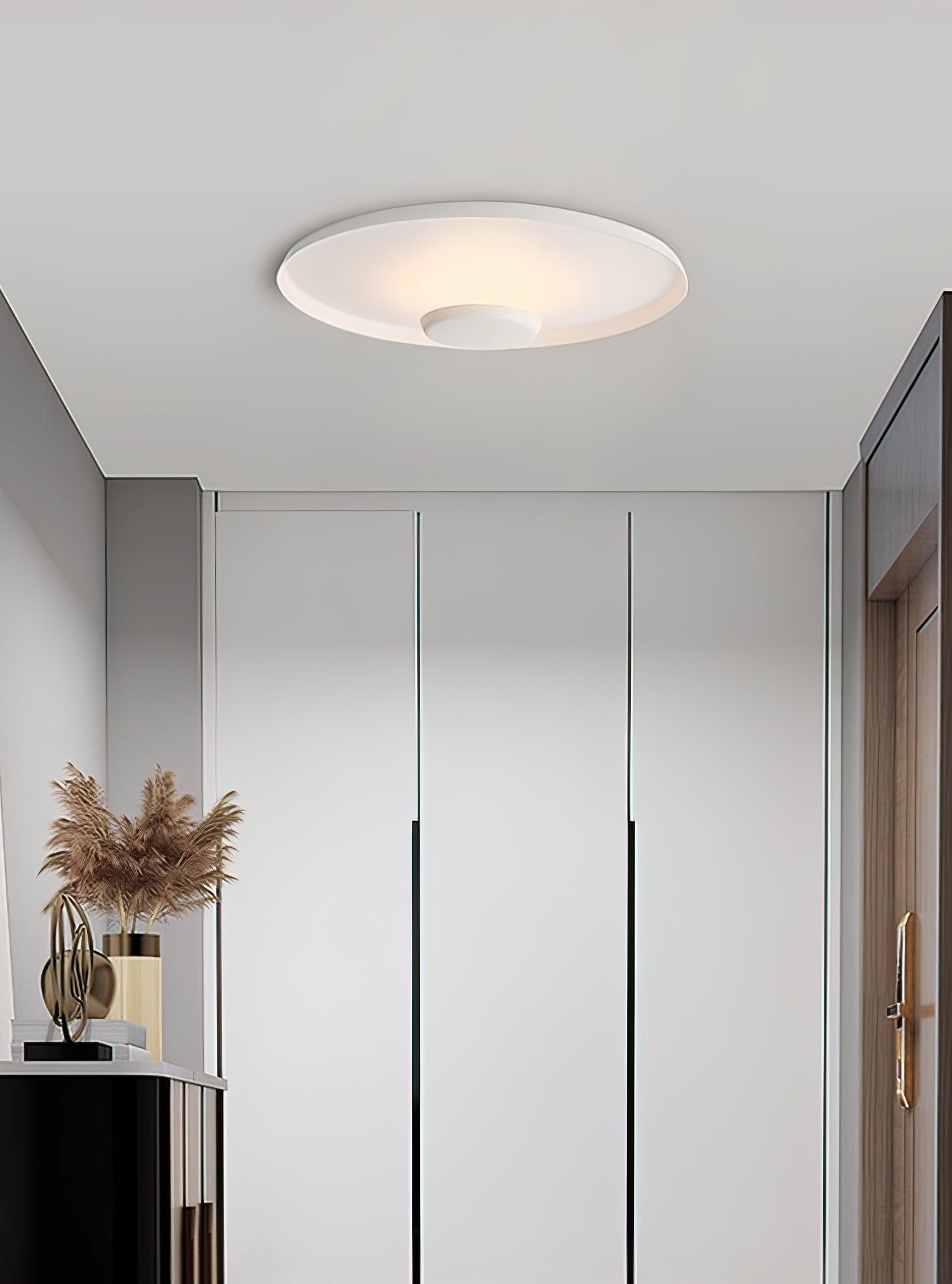 OLEV Overfly Plus-plafondlamp