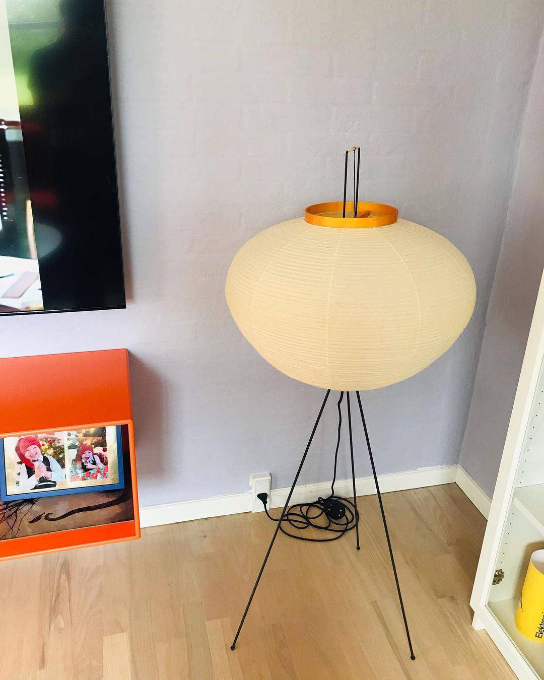Akari Series Floor Lamp