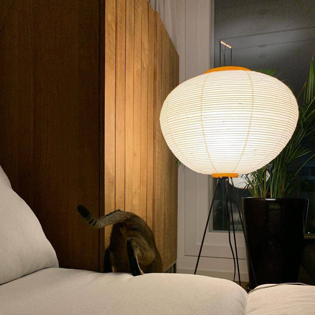 Akari Series Floor Lamp