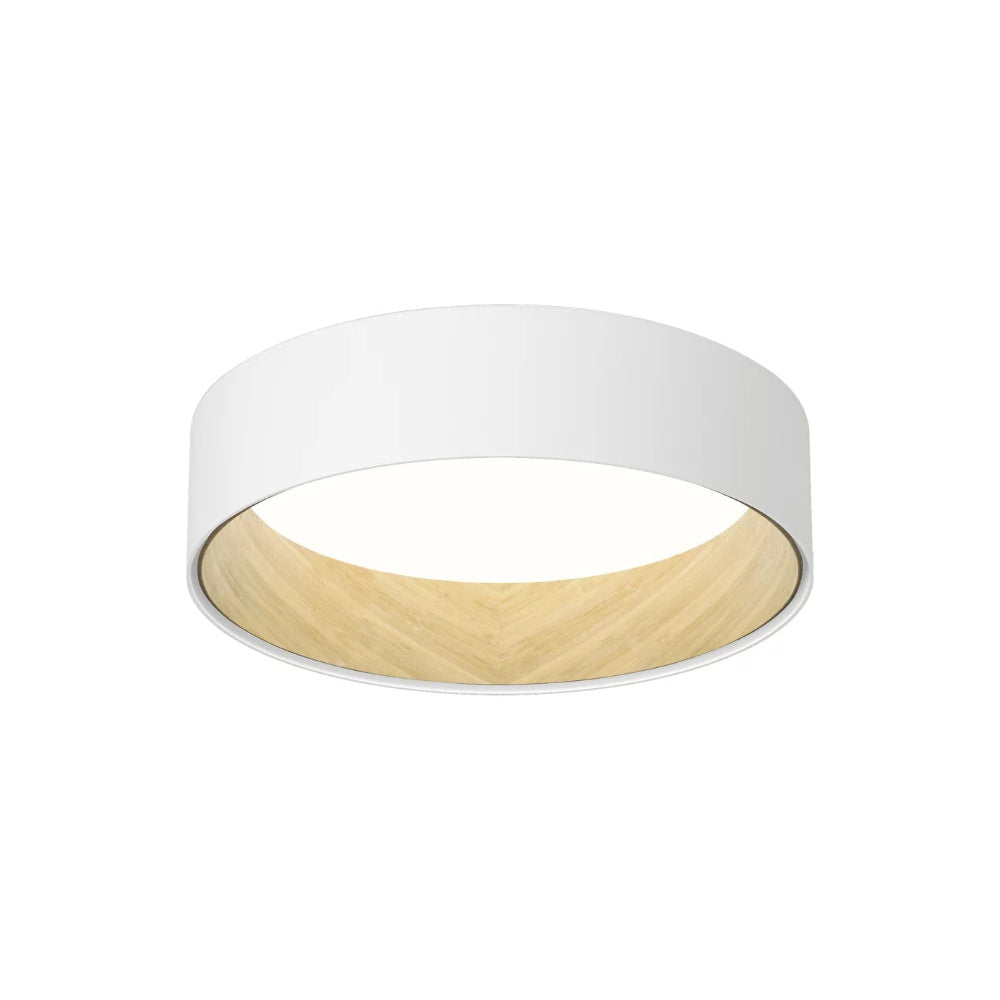 Duo-plafondlamp