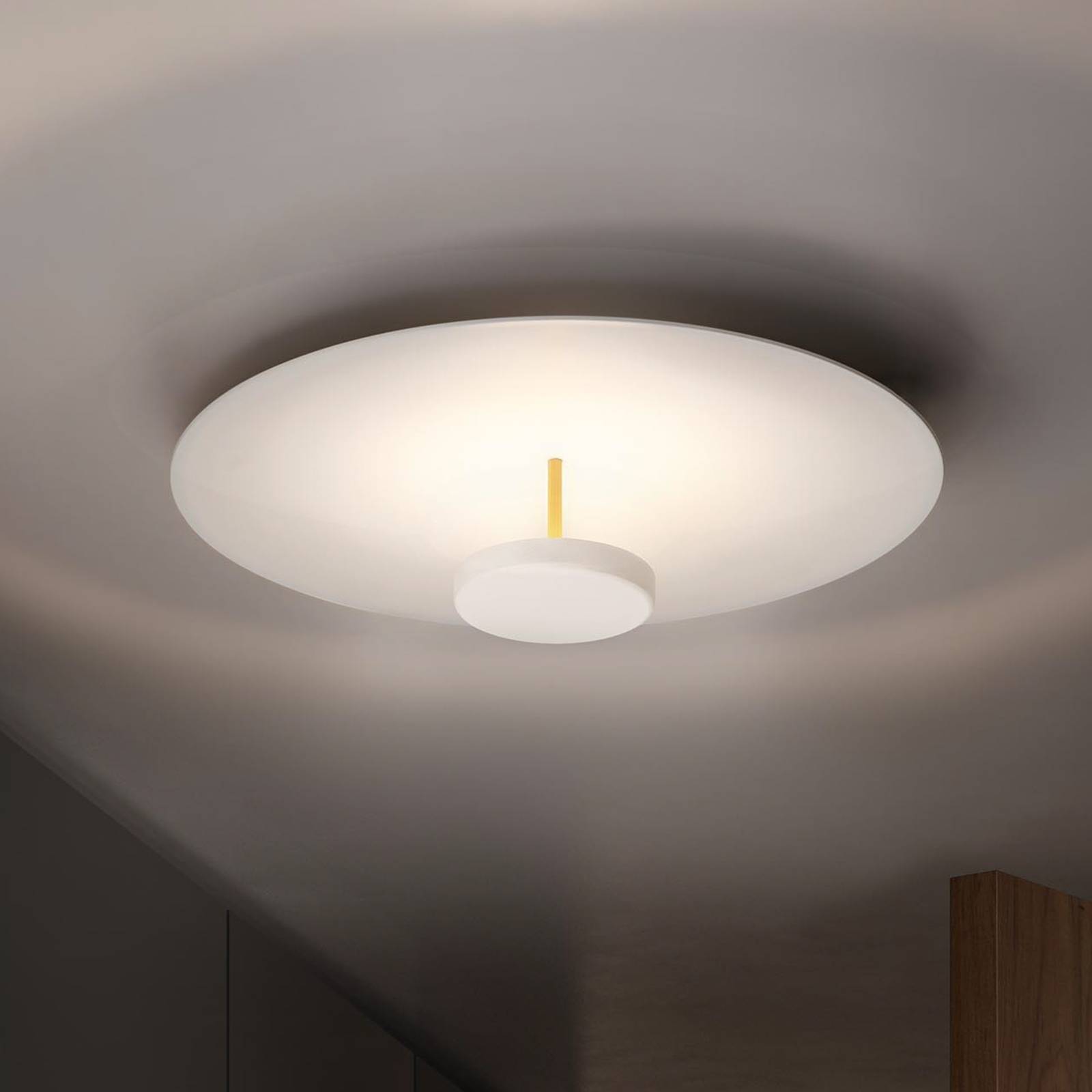 OLEV Overfly Plus-plafondlamp